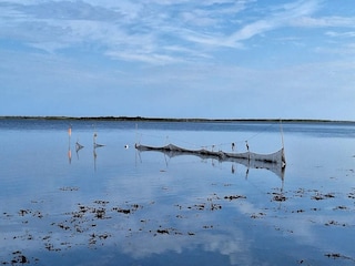 Ferienpark Bogense  34