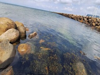 Vakantiepark Bogense  16