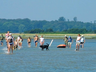Vakantiepark Bogense  11