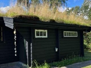 Ferienhaus Gedesby Außenaufnahme 7