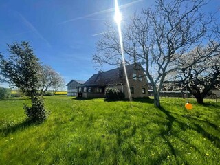 Ferienhaus Bandholm Außenaufnahme 2