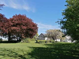 Ferienhaus Hasle Außenaufnahme 2