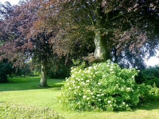 Ferienhaus Hasle Außenaufnahme 3