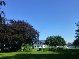 Ferienhaus Hasle Außenaufnahme 4