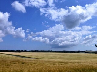 Ferienhaus Hasle Außenaufnahme 10
