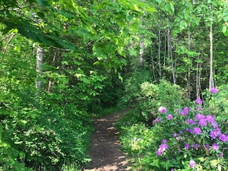 Holiday house Welt  17