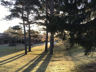 Holiday house Welt  20