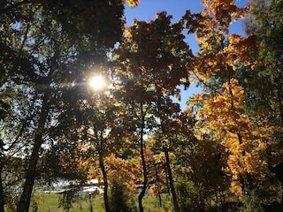 Holiday house Welt  21