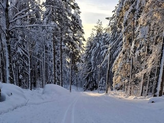 Holiday house Welt  32