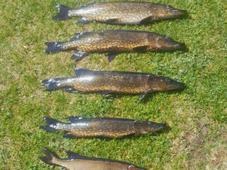 Holiday house Welt  7