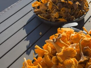 Holiday house Welt  28