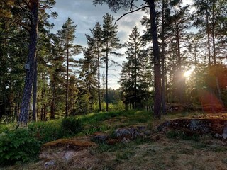 Holiday house Welt Outdoor Recording 8