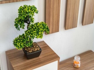 Apartamento Cavtat  44