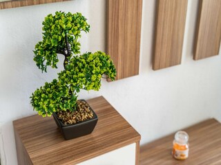 Apartment Cavtat  36