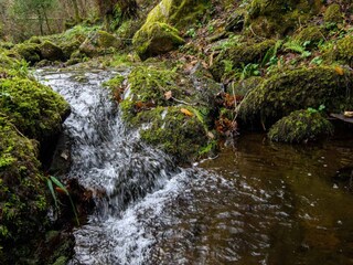 Villa San Giuliano Terme Buitenaudio-opname 23
