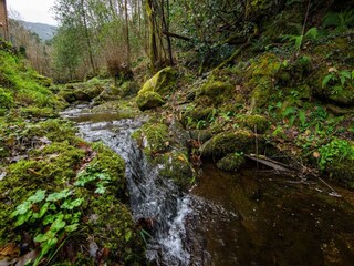 Villa San Giuliano Terme Outdoor Recording 25