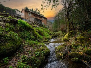 Villa San Giuliano Terme Außenaufnahme 27