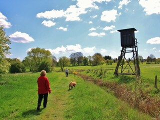 tolle Spaziergänge in der Umgebung