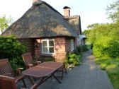 Gartenseite mit Terrasse