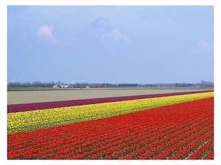 Ferienhaus Sint Maartenszee Umgebung 15
