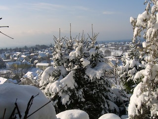 Winter in Bodolz