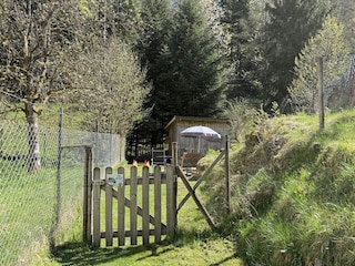 Hunde- Natur- Garten zum spielen und toben mit Bach