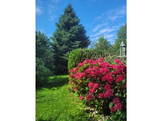Garten mit gemütlichen Ecken