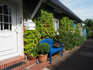 Hauseingang und Weg zum Garten