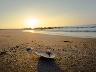 Strand Zingst