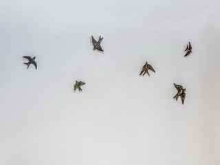 Holiday house Sanxenxo  39