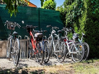 Apartment Cannes  14