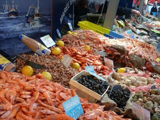 Maison de vacances Beuzec-Cap-Sizun Environnement 13