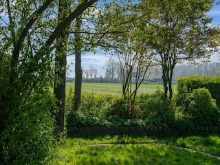 Ferienhaus Sint-Maartensdijk Außenaufnahme 7