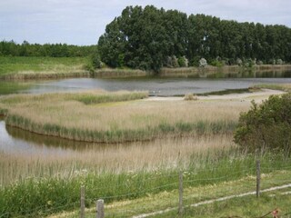 Holiday house Sint-Maartensdijk Environment 39