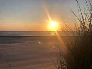 Chalet Hollum Environnement 22