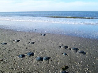 Chalet Hollum Ambiente 25