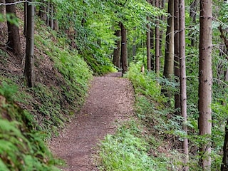 Ferienhaus Ångermanland  18