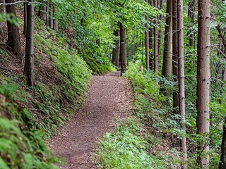 Vakantiehuis Ångermanland  26