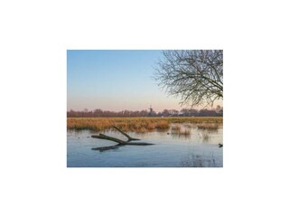 Holiday house Steendam Environment 11