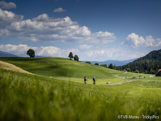 Casa per le vacanze St. Lorenzen ob Murau  16