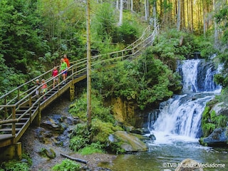 Vakantiehuis St. Lorenzen ob Murau  11