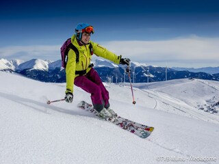 Casa de vacaciones St. Lorenzen ob Murau  14