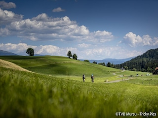 Ferienhaus St. Lorenzen ob Murau  5