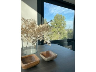 Ferienhaus Sant Pere de Ribes  41