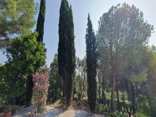 Villa San Lorenzo Al Mare Buitenaudio-opname 10