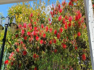 Villa San Lorenzo Al Mare Buitenaudio-opname 16