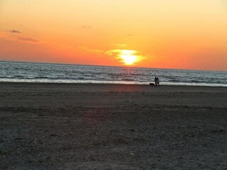 Chalet Hollum Environnement 26