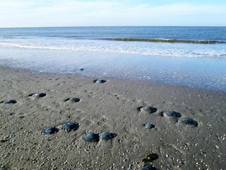 Chalet Hollum Omgeving 29