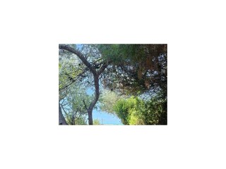 Apartment Vada Umgebung 12