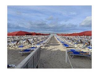 Apartment Vada Umgebung 15